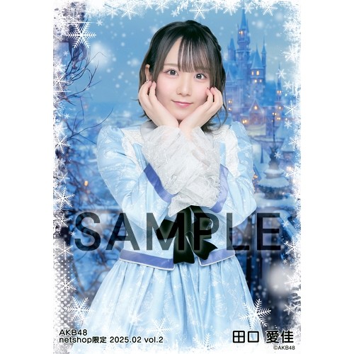 予約商品】AKB48 2025年2月度 net shop限定個別生写真5枚セットvol.2