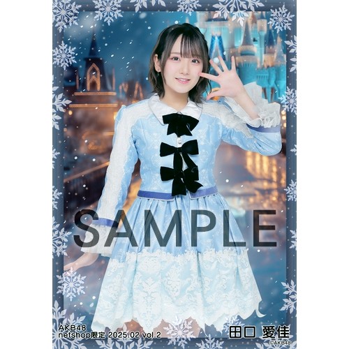 予約商品】AKB48 2025年2月度 net shop限定個別生写真5枚セットvol.2