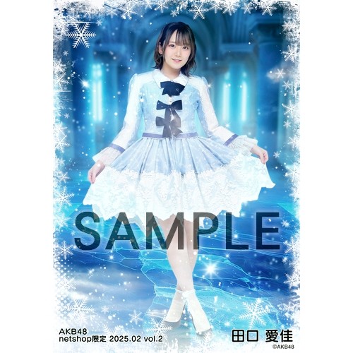 予約商品】AKB48 2025年2月度 net shop限定個別生写真5枚セットvol.2