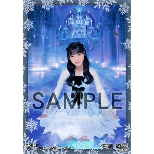 予約商品】AKB48 2025年2月度 net shop限定個別生写真5枚セットvol.2