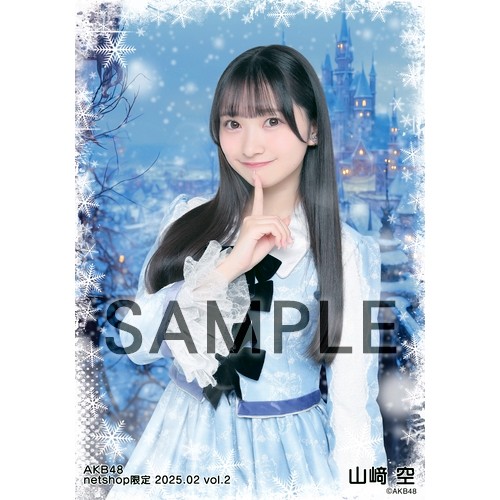 予約商品】AKB48 2025年2月度 net shop限定個別生写真5枚セットvol.2