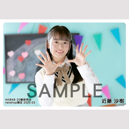 【まとめ売りセット45枚】AKB48 公式写真 生写真 まとめ売りセット45枚】AKB48 公式写真 生写真 AK-003-2506