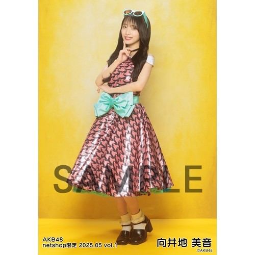 予約商品】AKB48 2025年5月度 net shop限定個別生写真5枚セット