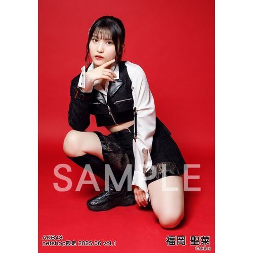 予約商品】AKB48 2025年6月度 net shop限定個別生写真5枚セットvol.1