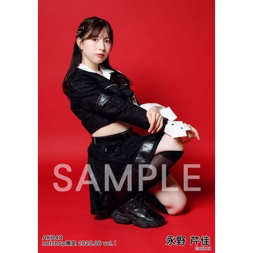 予約商品】AKB48 2025年6月度 net shop限定個別生写真5枚セット