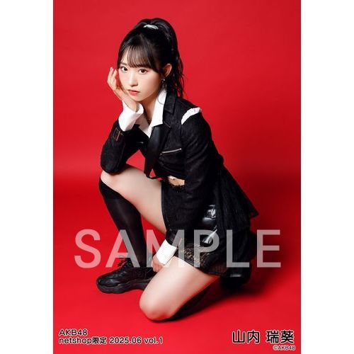 予約商品】AKB48 2025年5月度 net shop限定個別生写真5枚セット