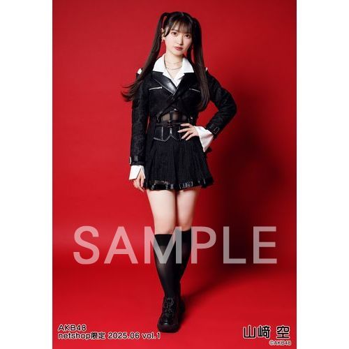 予約商品】AKB48 2025年6月度 net shop限定個別生写真5枚セットvol.1