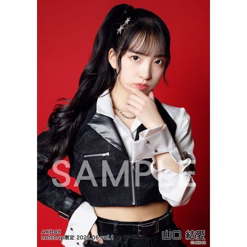 予約商品】AKB48 2025年6月度 net shop限定個別生写真5枚セットvol.1