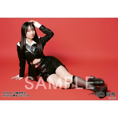 SDN48 生写真 19枚セット AK-003-2506-88145_p01_500.jpg