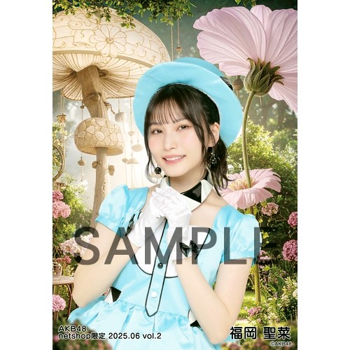予約商品】AKB48 2025年6月度 net shop限定個別生写真5枚セットvol.2