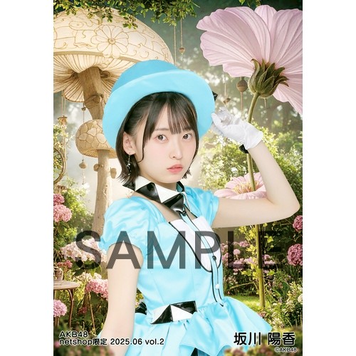坂川陽香　AKB48 2025年4月　netshop限定　生写真+カード　コンプ 坂川陽香 AKB48 2025年4月 netshop限定 生写真+カード コンプ