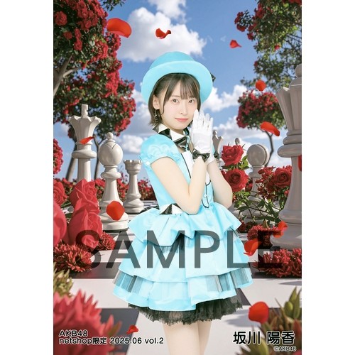 予約商品】AKB48 2025年6月度 net shop限定個別生写真5枚セット