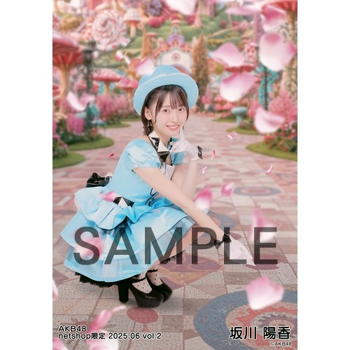 予約商品】AKB48 2025年6月度 net shop限定個別生写真5枚セット