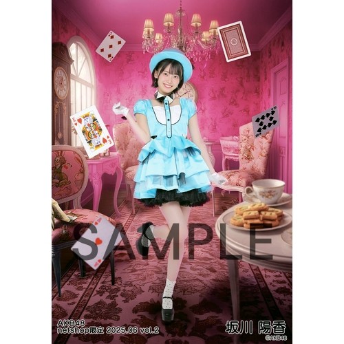 坂川陽香 AKB48 2025年4月 netshop限定 生写真+カード コンプ