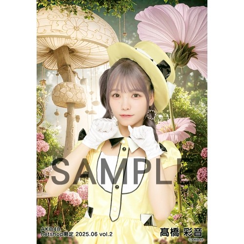 予約商品】AKB48 2025年6月度 net shop限定個別生写真5枚セット