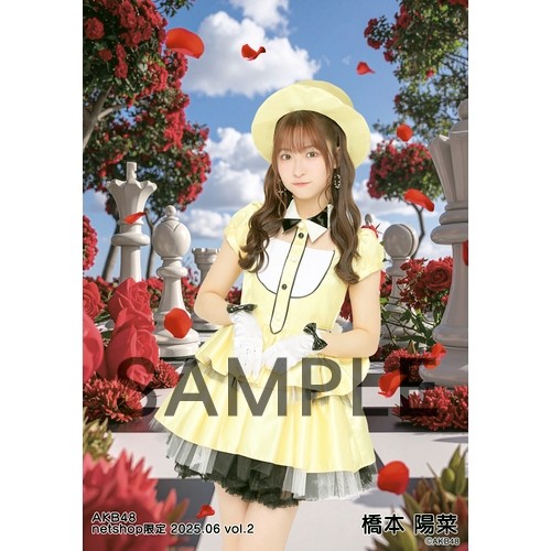 橋本陽菜 AKB48 15周年記念 豪華生写真セット～ 橋本陽菜 AKB48 15周年