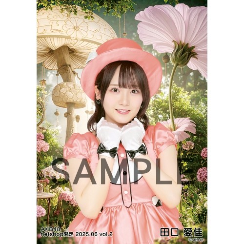 予約商品】AKB48 2025年6月度 net shop限定個別生写真5枚セットvol.2