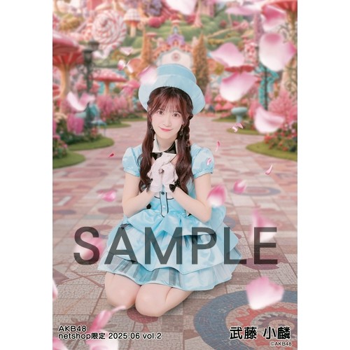 予約商品】AKB48 2025年6月度 net shop限定個別生写真5枚セットvol.2