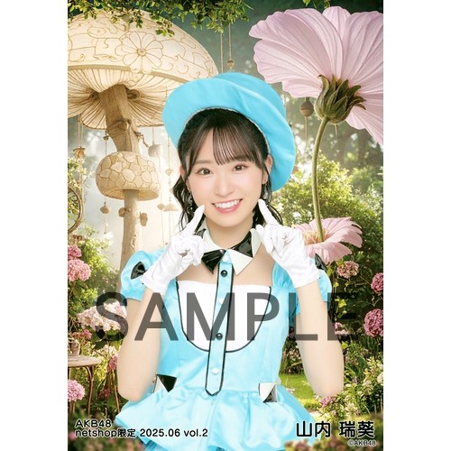 予約商品】AKB48 2025年6月度 net shop限定個別生写真5枚セットvol.2