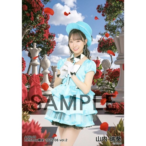 予約商品】AKB48 2025年6月度 net shop限定個別生写真5枚セットvol.2