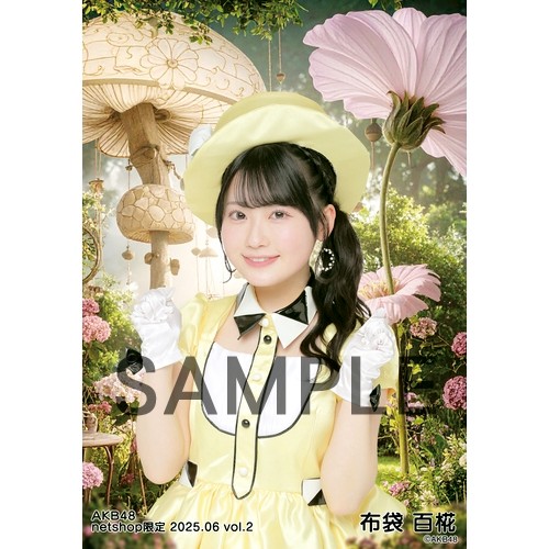 予約商品】AKB48 2025年6月度 net shop限定個別生写真5枚セットvol.2