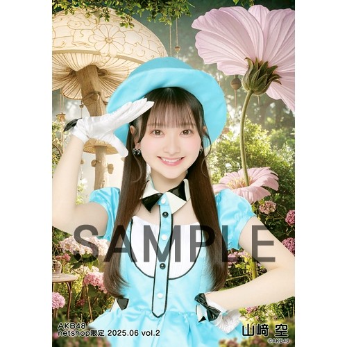 予約商品】AKB48 2025年6月度 net shop限定個別生写真5枚セットvol.2