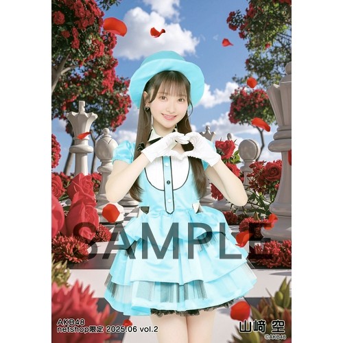 予約商品】AKB48 2025年6月度 net shop限定個別生写真5枚セットvol.2