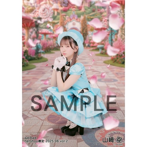 予約商品】AKB48 2025年6月度 net shop限定個別生写真5枚セットvol.2