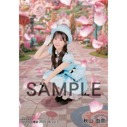 予約商品】AKB48 2025年6月度 net shop限定個別生写真5枚セットvol.2