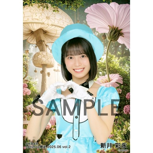 予約商品】AKB48 2025年6月度 net shop限定個別生写真5枚セットvol.2