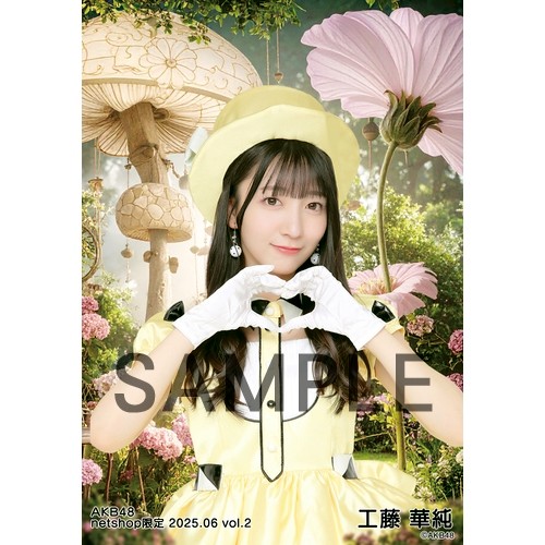 予約商品】AKB48 2025年6月度 net shop限定個別生写真5枚セットvol.2