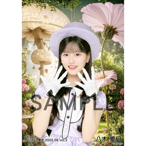 予約商品】AKB48 2025年6月度 net shop限定個別生写真5枚セットvol.2