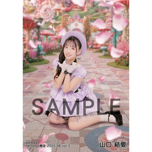予約商品】AKB48 2025年6月度 net shop限定個別生写真5枚セットvol.2