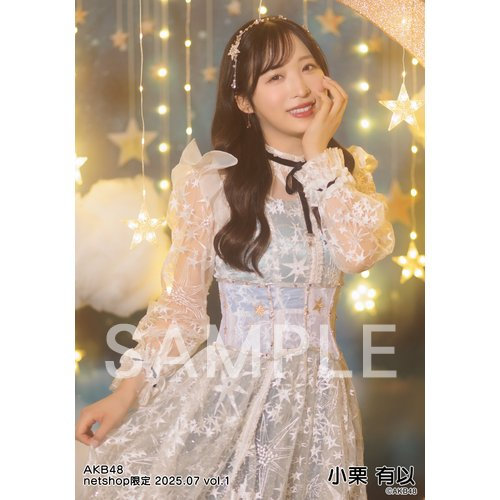 予約商品】AKB48 2025年7月度 net shop限定個別生写真5枚セット