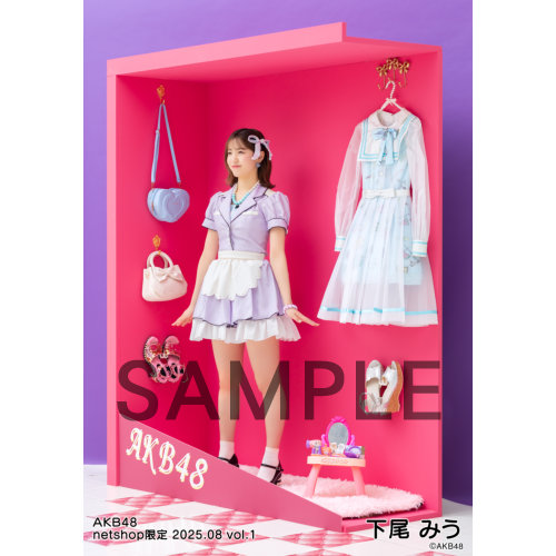 AKB48グループグッズ、生写真等まとめ売り AKB48 2025年8月度 net shop限定個別生写真5枚セットvol.1