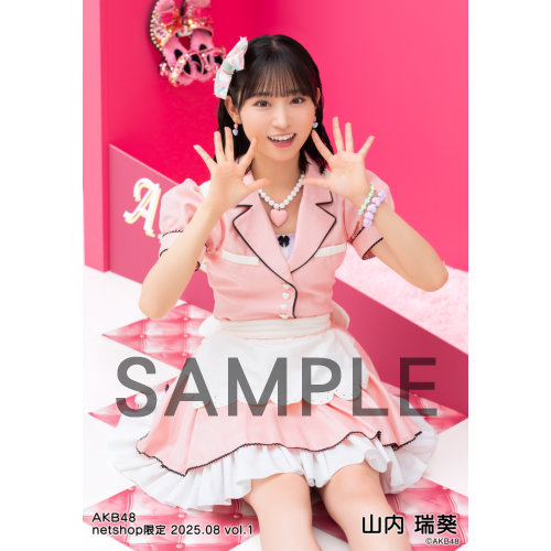 AKB48 非売品 タペストリー2種類 予約商品】AKB48 2025年8月度 net shop限定個別生写真5枚セット
