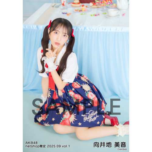 AKB48 生写真　向井地美音 予約商品】AKB48 2025年8月度 net shop限定個別生写真5枚セット