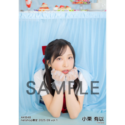 予約商品】AKB48 2025年9月度 net shop限定個別生写真5枚セット