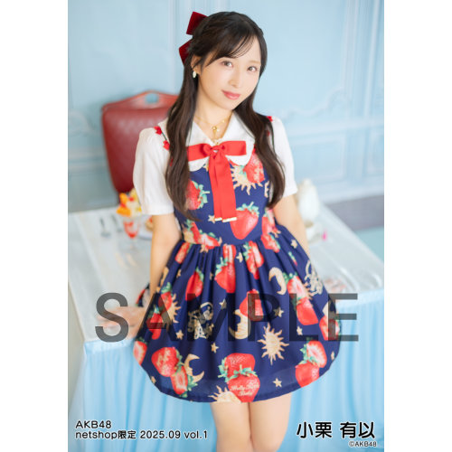 予約商品】AKB48 2025年9月度 net shop限定個別生写真5枚セット