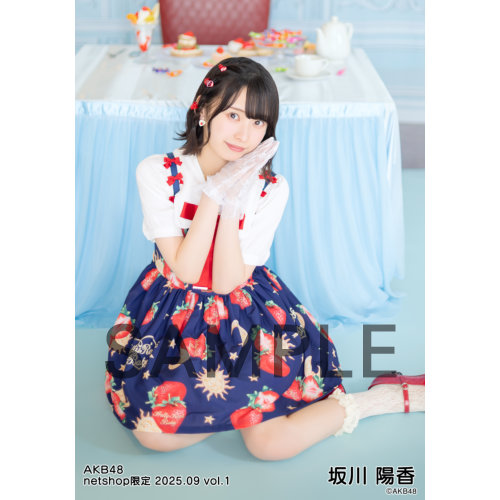予約商品】AKB48 2025年9月度 net shop限定個別生写真5枚セットvol.1