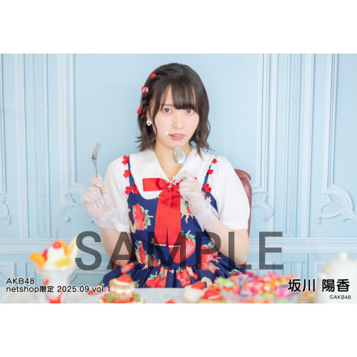 予約商品】AKB48 2025年9月度 net shop限定個別生写真5枚セットvol.1
