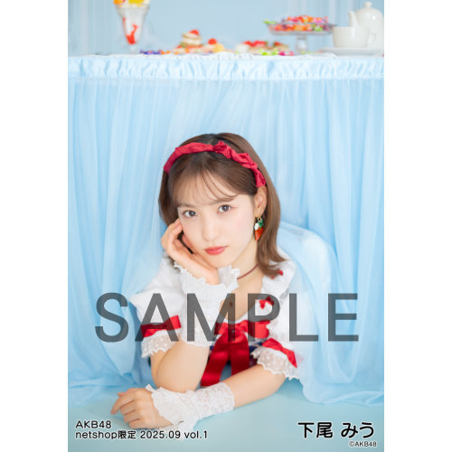 AKB48 生写真 セット ② 約2000枚 AK-003-2508-88791_p01_500.jpg