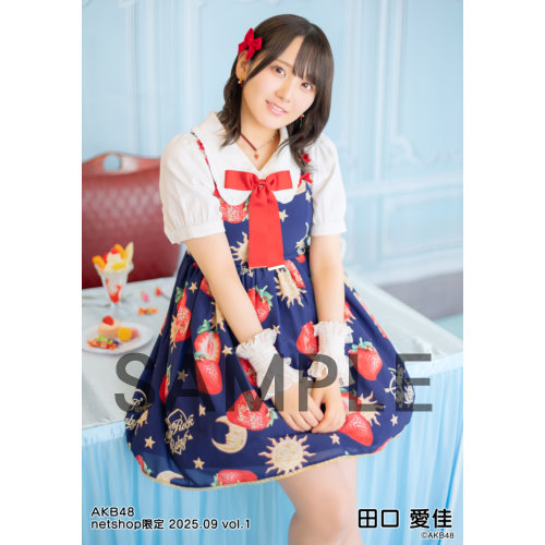 予約商品】AKB48 2025年9月度 net shop限定個別生写真5枚セットvol.1