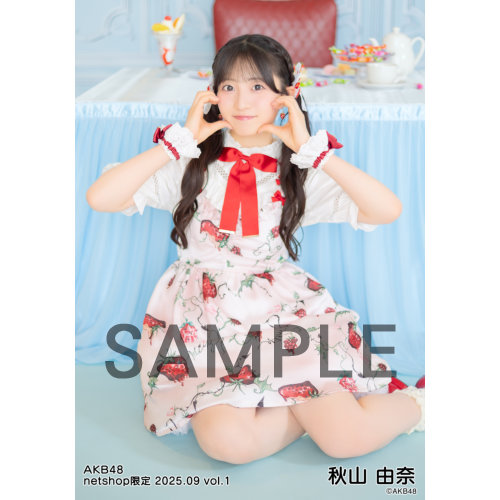 【Y】 AKB48 月別2025年9月 生写真セット 予約商品】AKB48 2025年9月度 net shop限定個別生写真5枚セットvol.1