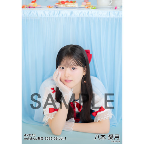 予約商品】AKB48 2025年9月度 net shop限定個別生写真5枚セット