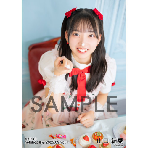 山口結愛　AKB48 18期昇格記念LIVE！直筆サイン入りボール　6/27 山口結愛 AKB48 18期昇格記念LIVE！直筆サイン入りボール 6/27