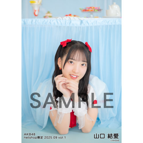 予約商品】AKB48 2025年9月度 net shop限定個別生写真5枚セットvol.1