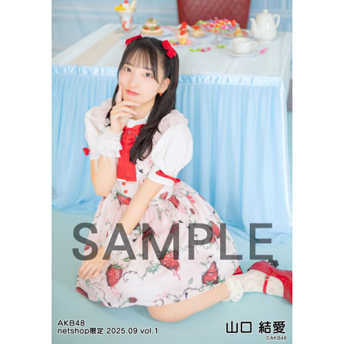 予約商品】AKB48 2025年9月度 net shop限定個別生写真5枚セットvol.1