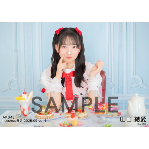 予約商品】AKB48 2025年9月度 net shop限定個別生写真5枚セットvol.1