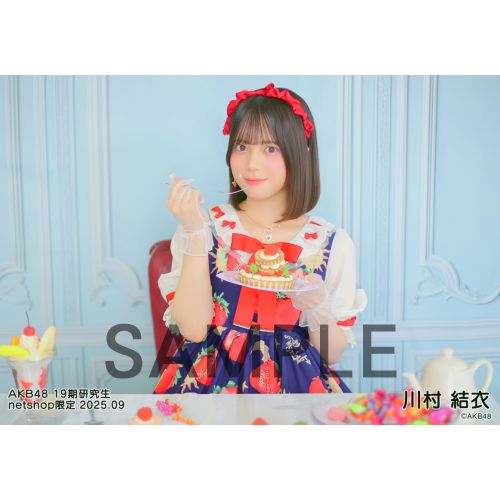 AKB48 生写真  衣装ミュージアム 新潟限定 AKB48 生写真 衣装ミュージアム 新潟限定
